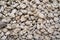 Lot of gray pumice rock