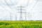 A lot of high-voltage power line electrical energy transmission tower overhead line masts, high voltage pylons, power pylons field