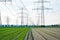 A lot of high-voltage power line, transmission tower overhead line masts, high voltage pylons as power pylons on the fields.