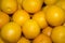 A lot of juicy, ripe oranges closeup