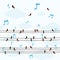 A lot little birds sing a song on line vector