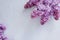 A lot of lush lilacs on a concrete gray background. Top view of blooming branches, flower border. The basis for a greeting card