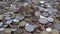 A lot of many various coins of different countries fall down heap
