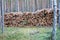 Lot of Natural wooden logs cut and stacked in pile, felled by the logging timber industry. Pile of felled pine trees in the forest