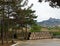 A lot of oak wine casks with madeira wine while maderization on solarium with mountain background. Crimea, Koktebel. Winery