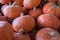 Lot of orange chestnut pumpkins sold on farmers market