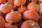 Lot of orange chestnut pumpkins sold on farmers market