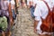 A lot of people are walking along an old cobbled street. Sightseeing group. Back view