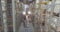 A lot of people work in stock. Panoramic view of a modern warehouse, many people do the work