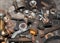 Lot of pieces of rusty spare parts for tractor