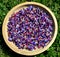 Lot of Pulmonaria officinalis flowers in a wooden bowl