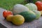 A lot of pumpkin vegetables of different varieties laid out on the lawn