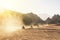 A lot of quad bikes in the dust ride on the background of the wild desert. Sunset in the desert beyond the mountains. ATV rally.