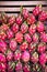 A lot of red ripe pitaya or white pitahaya dragon fruit on outdoor market.