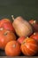 A lot of red ripe pumpkins on a old wooden green background close up, holiday halloween. Pile of ripe pumpkins. Harvest autumn