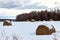 A lot of round hay in the winter forest, lying under the snow, a rural landscape Agriculture