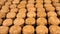 A lot of rows different wooden champagne or wine corks from cork tree. Use as pattern or background. Selective focus. Foreground