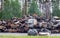 A lot of rusty burnt cars in Irpen, after being shot by the Russian military.