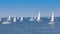 A lot of sailing boats on the regatta