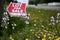 Lot For Sale with Texas Wildflowers