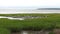 Lot of seagulls resting by the water of the St-Lawrence River in Quebec