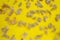 A lot of shreds of animal fur, ginger and white, on bright yellow background