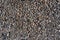 A lot of small stones, a concrete path. Asphalt close-up. Stone background for lettering, texture for designers