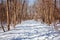 A lot of snow in the alley of winter city park. Bright sun, shadows.