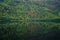 A lot of trees reflecting in water