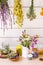 Lot of various herbal medicinal plants gathered and drying in room and dried herbs in glass jars on shelf.