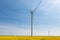 A lot of wind turbines stand on a flowering canola field, renewable energy concept