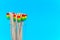 Lot wooden bamboo toothbrushes with bright colored bristles stand in glass