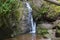 Lotenbach Gorge in Blach Forest, Germany