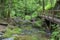 Lotenbach Gorge in Blach Forest, Germany