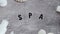 Lotions and essential oil bottles surrounded by flowers and shells with Spa text camera panning zooming out