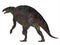 Lotosaurus Dinosaur Tail