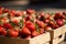 Lots of baskets with fresh ripe strawberries for sale at farmers market closeup. Strawberries in boxes, strawberry fruits in