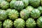 Lots of big green watermelons for sale.Summer picture, desktop wallpaper