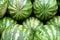 Lots of big green watermelons for sale.Summer picture, desktop wallpaper