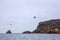 Lots of birds on Ballestas Islands national reserve, Paracas