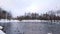 Lots of birds on the winter lake. Bird market. White Lake and a rookery in Gatchina Park. Duck, Seagulls, Coot. There