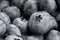 Lots of blueberries close up. Useful berries to strengthen immunity