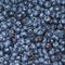 Lots of blueberries (macro)