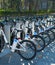Lots of bycicles for rent