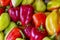 Lots of colorful bell peppers. Vitamins and vegetarianism. Space for text. Background