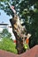 Lots of colorful wooden birdhouses on a tree