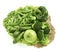 lots of diffrent green foods arranged together isolated on a white background with clipping path