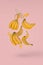 Lots fresh bananas flying in air isolated on a bright pink background