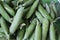 Lots of fresh green unpeeled peas in a pile