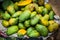 Lots of fresh mangoes. fresh fruit. growing mangoes. exotic fruits of Sri Lanka. green mango fruit